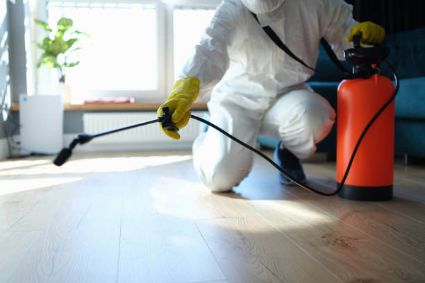 Best Pest Removal Services  in Moulton, AL