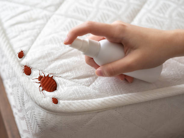 Best Best Pest Control Near Me  in Moulton, AL